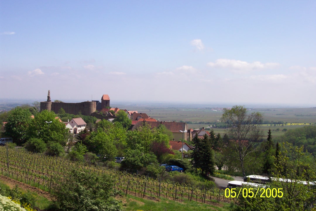 Castle Overlooking the Mannheim-Heidelberg Valley, Germany 05 