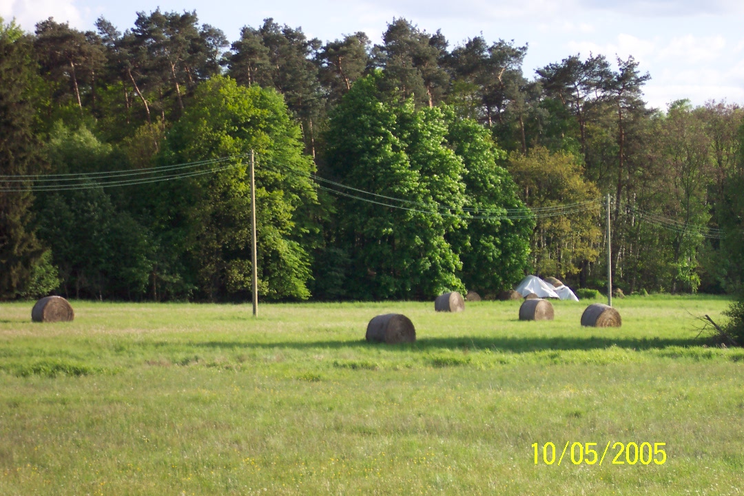 Hay Rolls, Landstuhl, Germany 05