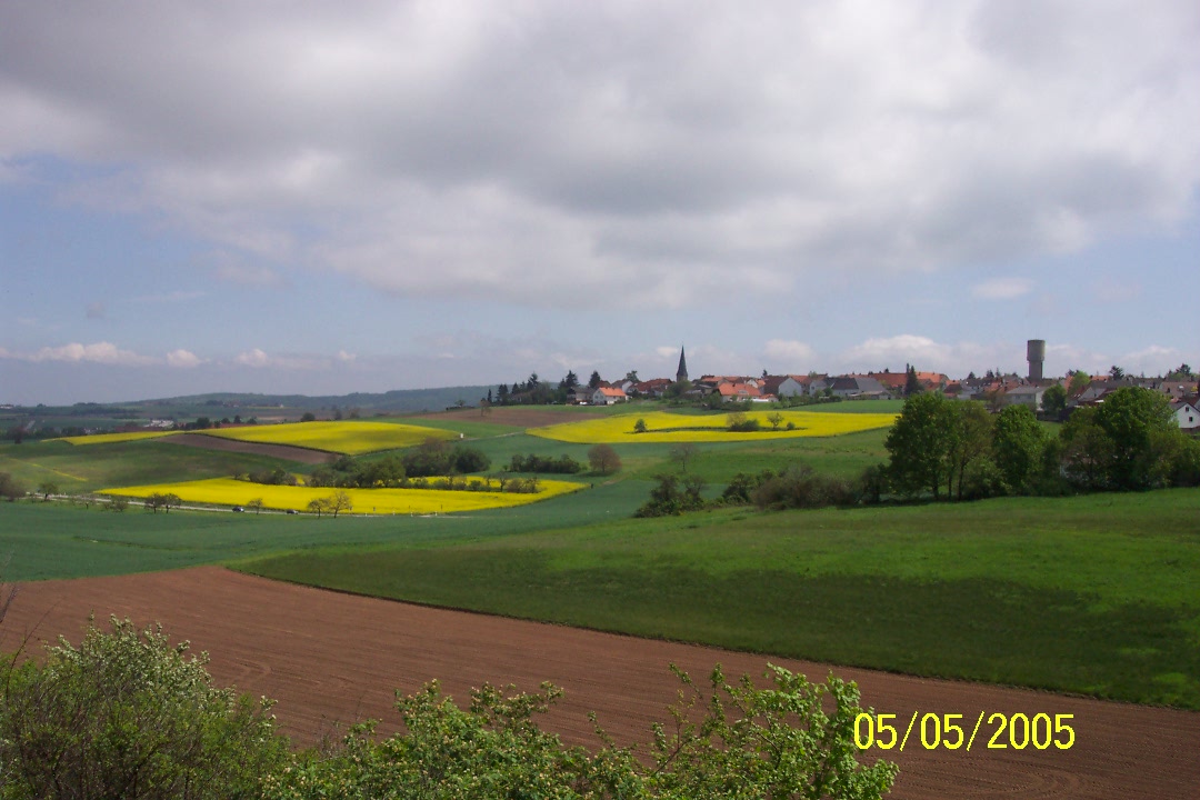 Raps Fields, Grosskarlbach, Germay 05